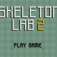 Unleash Your Creativity in Skeleton Lab 2 Experiment and Explore